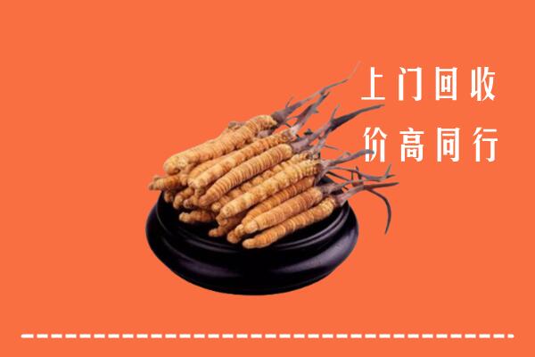 高价求购：营口回收散虫草