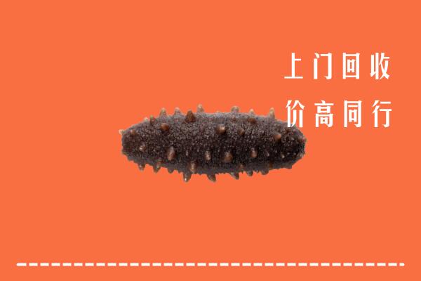 高价求购：营口回收海参