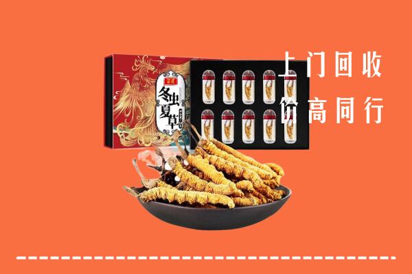 营口回收虫草